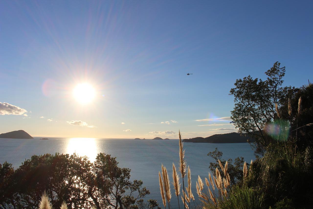 Island View Experience Villa Coromandel Ngoại thất bức ảnh